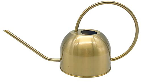 Hamiledyi 1,4 l dekorative Pflanzen Bonsai Gießkanne kleine Gießkanne für Zimmerpflanzen Zimmerpflanze Schlange Pflanze Terrarium Glas Bonsai Topf und Blumengarten (Golden)