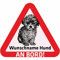 Indigos UG - Autoaufkleber selbst gestalten Namensaufkleber Hund 15 cm - Maltipoo - Sticker mit Name & Wunschtext personalisiert selbstklebend - Motorrad - LKW - Heckscheibenaufkleber