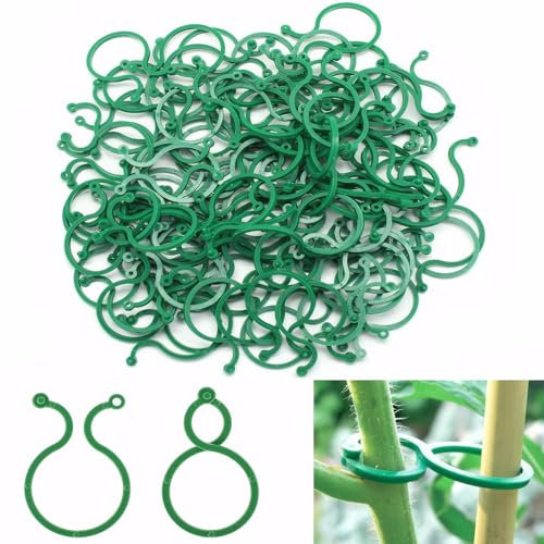 100 PCS Gesicherter Pflanzen Clip, Praktischer Pflanzenstützclip, Gartenpflanze Clips, Pflanzenklammern Klein Zur Rankhilfe und Befestigung Von Pflanzen, für Tomaten Gurken Weintrauben Etc (Grün)