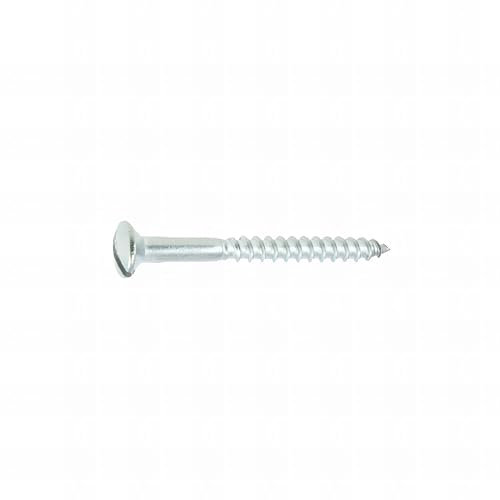 17 vis bois tête fraisée bombée fendue DIN95 A2 4.0 X 20