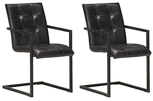 Frdhee Esstisch Stuhl, Freischwinger 2 STK. Schwarz Echtleder Polsterstuhl für Esszimmer, Wohnzimmer, Schlafzimmer