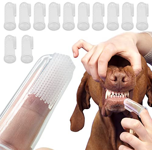 Hundezahnbürste Fingerling Wiederverwendbar, Pet Finger Zahnbürste, Fingerlinge Hunde Zahnpflege,Anti-Plaque Finger Hund,Effiziente und Saubere Haustierzahnbürste aus Strickgewebe (12 Stück)