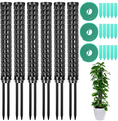 TIHOOK Monstera Monstera Treillis Lot de 6 poteaux en plastique pour plantes Monstera, tuteur de plantes, support de plantes, aide à l'escalade pour plantes Monstera, lierre