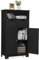 KOMFOTTEU Meuble de Salle de Bain, avec 2 Tiroirs et 2 Armoires à Porte, Armoire d’Appoint avec Étagère réglable, Armoire sur Pied, pour Salon, WC, 60 x 30 x 109 cm (Noir)