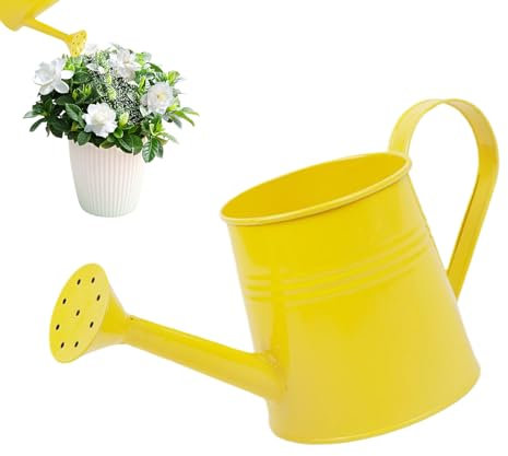 Gießkanne Zimmerpflanzen Giesskanne Aus Eisen, Gartengießkanne Mit Langem Ausguss, Blumengießkanne Für Heimdekoration Und Gartenarbeit 1L