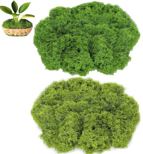 MOAZIFI Moos in 2 Farben, 250g für Moosbilder (200g Grün, 50g Dunkelgrün) - Kunstmoos zum Basteln, Deko, Moosbild - Konserviertes Künstliches Moss