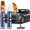 prowithlin Stylo Retouche Peinture Carrosserie, Paquet de 2 - Solution Rapide pour Carrosserie, Peinture Voiture Carrosserie & Jante Alu (2 lots, Gris)