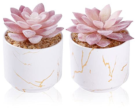 ZENIDA Piante artificiali in vaso in ceramica, 2 pezzi di piante grasse artificiali, piante d'appartamento, decorazione per camera da letto, soggiorno, camera da letto, vaso bianco, bianco