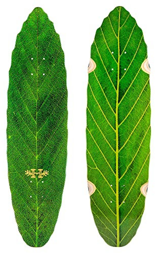 Habitat Skateboard Deck Leaf Lines grün 22,2 cm