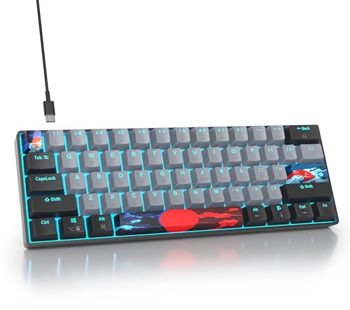 SbocKeeb 60% Prozent Tastatur, Wired Mini Mechanische Gaming-Tastatur Ice Blau LED-Hintergrundbeleuchtung, 61 Anti-Ghosting-Tasten, America QWERTY für PC Office Gaming (61 Gray)