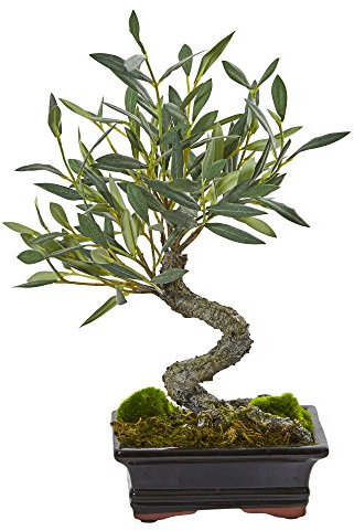 NearlyNatural - Mini albero di bonsai artificiale, colore: Oliva