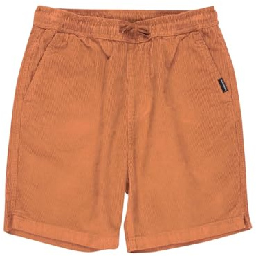 Quiksilver Boy's Taxer Cord Youth Shorts