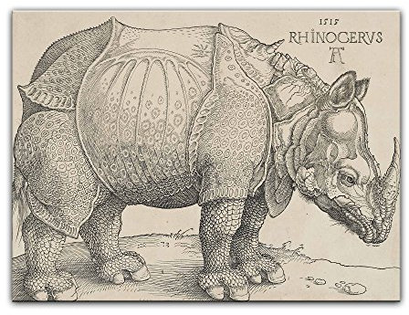 Kunstdruck Poster - Albrecht Dürer Rhinocerus 30x20 cm ca. A4 - Alte Meister Bild ohne Rahmen