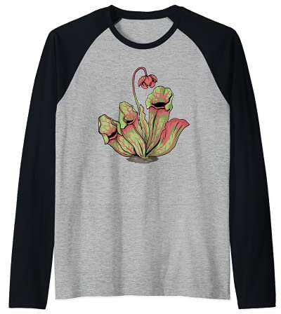 Rote Kannenpflanze Sarracenia Fleischfressende Pflanzen Raglan
