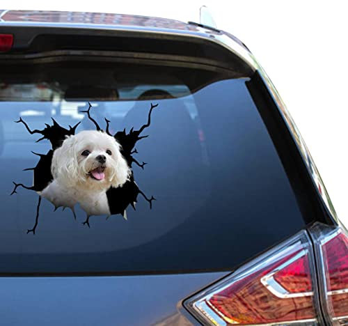 Malteser-Aufkleber, Malteser-Auto-Fensteraufkleber, Liebe, Warnung, LKW, Aufkleber für Eltern, Vynl Glasaufkleber