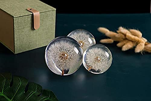 Bor Löwenzahn Löwenzahn-Traumkugel Kristall-Wunschkugel Einzigartiger Briefbeschwerer Löwenzahn-Briefbeschwerer The,8,YUYANAIAI