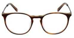 FILA Brille mit Sehstärke für Herren optional mit Sonnenbrillentönung oder Blaulichtfilter, Panto, gefertigt aus Edelstahl (inklusive Brillenetui)