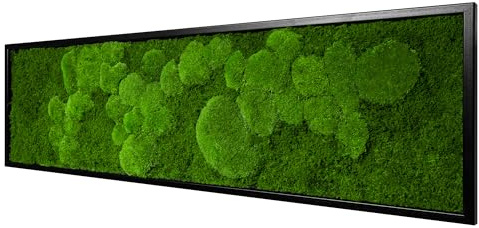 Moos Design | Moosbild in versch. Größen (Fifty Fifty Design, Holzrahmen: schwarz, 140 x 40 cm)