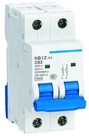 Disjoncteur CC NB1Z-63 1P 2P C Type 1A-63A Interrupteur pneumatique bipolaire(2P,20A)