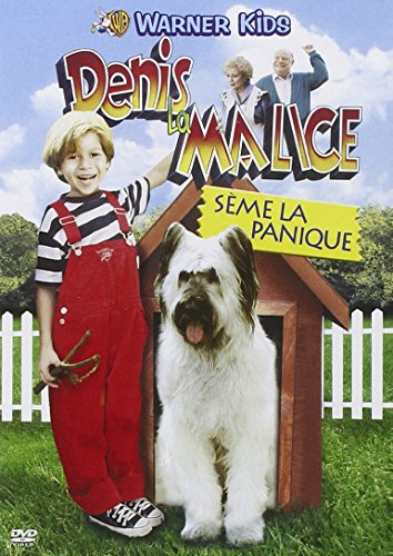 Denis la malice sème la panique [FR Import]