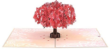 Lovepop® 3D Pop-Up Karte roter Kirschlütenbaum zum Muttertag Muttertagskarte Red Sakura Tree für Mama | inkl. Umschlag & Versteckfach für Geld & Gutscheine
