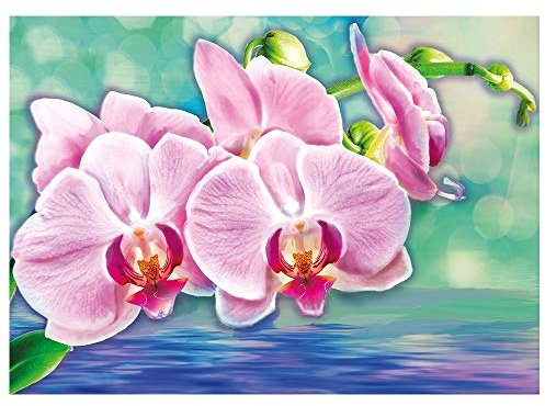 Ideen mit Herz 5D Diamond Painting | Diamant Painting Set | Motiv: 35 x 25 cm | Leinwand: 30 x 40 cm | runde Steinchen | inkl. Zubehör | Verschiedene Bilder zur Auswahl (Orchideen)