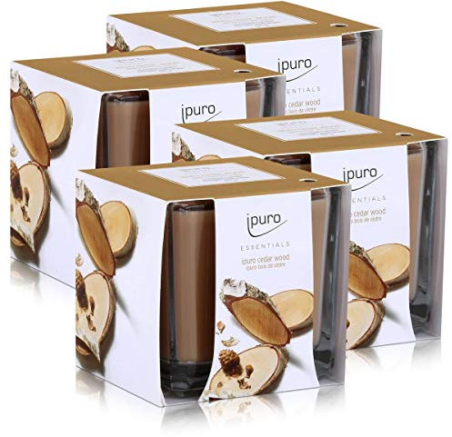 Essentials by Ipuro Duftkerze Cedar Wood 125g - Holzige Noten umschmeichelt von fruchtigen und blumigen Nuancen (4er Pack)