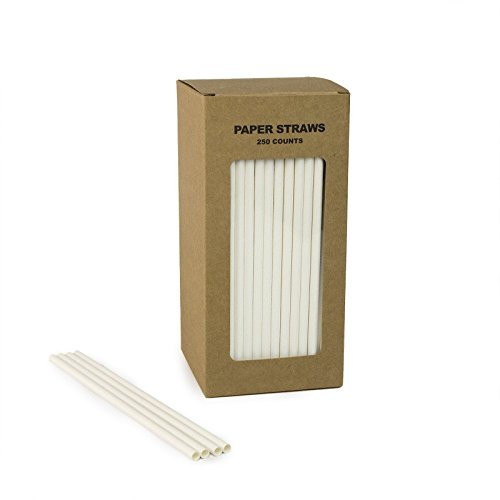 MY PAPER White Paper Straws Solid Plain Disposable Straws (White, 250)