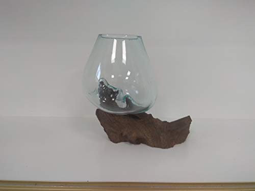 Glass On Teak Driftwood Molten Sculptural Bowl/Plant Terrarium Vase