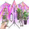 Pflanzenlampe LED Vollspektrum 5 Kopf120 LEDs Grow Lampe Pflanzenleuchte Pflanzenlicht mit Ständer Pflanzen LED Wachstumslampe für Pflanzen mit Zeitschaltuhr 3 Farbmodi 10 Lichtstärken