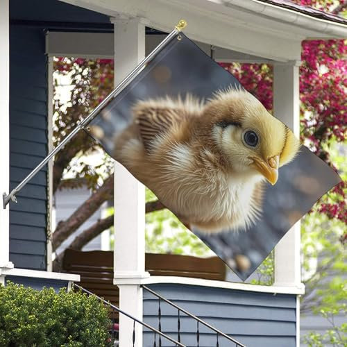 Flagge Huhn Küken Gartenflagge Dekorative Hofflaggen Willkommensflagge Bauernhaus Outdoor Flagge Urlaub Banner Schild Kleine Flaggen für draußen saisonale Flaggen Hofdekoration 119,4 x 177,8 cm