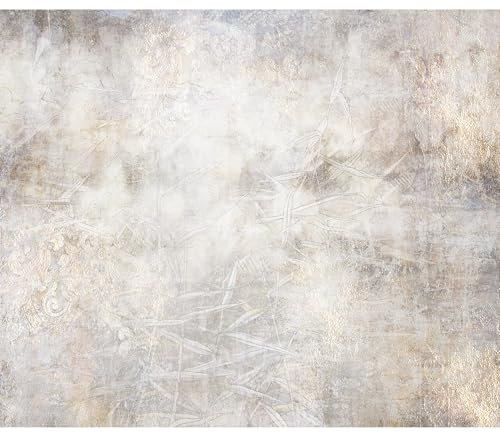 murando Fototapete Abstrakt 450x315 cm Vlies Tapeten Wandtapete XXL Moderne Wanddeko Design Wand Dekoration Wohnzimmer Schlafzimmer Büro Betonoptik Natur Retro wie gemalt f-C-10030-a-a