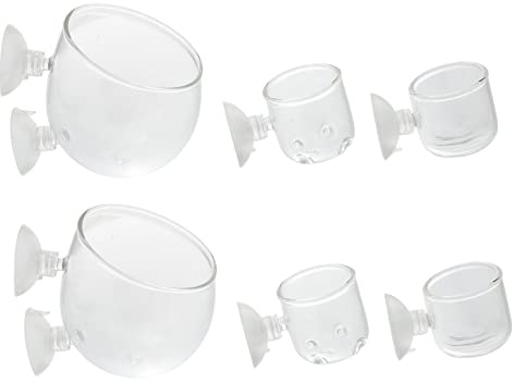 ibasenice 6 Stück Glasbecher für Wasserpflanzen im Aquarium Leichter Pflanzenhalter aus Glas Einfache Installation für Aquarien und Fischbecken