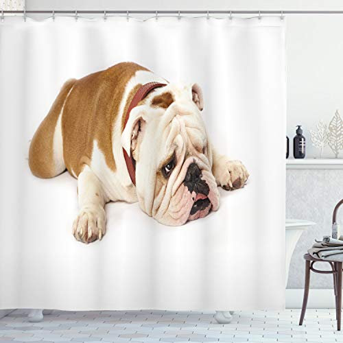 ABAKUHAUS Englische Bulldogge Duschvorhang, Sad Tier, Stoffliches Gewebe Badezimmerdekorationsset mit Haken, 175 x 200 cm, Creme