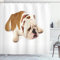 ABAKUHAUS Englische Bulldogge Duschvorhang, Sad Tier, Stoffliches Gewebe Badezimmerdekorationsset mit Haken, 175 x 200 cm, Creme