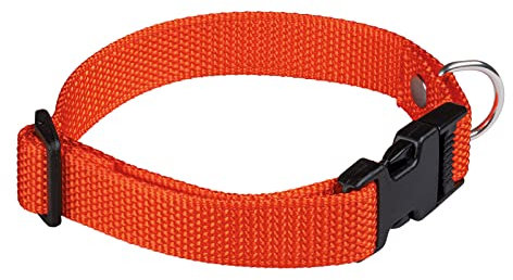 AKAH Hundehalsband verstellbar orange/Neongelb - Halsband Jagdhund klein - Halsung Hund (Orange)