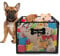 APITOS Metal Dog Toy Box-Dog Toy Basket-Wire Mesh Basket Blac-Pet Accessory Rust-Stylish Dog Bone Design-for Organizing Pet Toys, Cat Blankets, Dog Clothes, Urine
