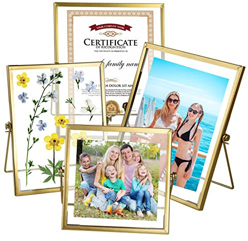 KUUQA 4er Set Glas Fotorahmen Antik Metall Geometrische Bilderrahmen mit Glasabdeckung Schwebender Bilderrahmen Metall Gepresstes Glas Bilderrahmen Schweberahmen Vertikal