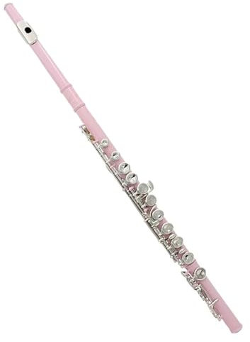 Querflöte Instrument 16 Geschlossene, Offene Löcher, C-Taste, Querflöte, Konzertinstrument Mit Zubehör Für Studenten (Color : Pink)