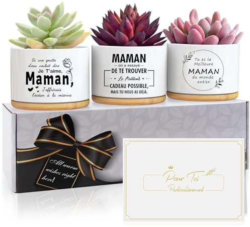 Cadeau Anniversaire pour Maman,Idee Cadeau Fete des Meres,Cadeau Noel Maman,Cadeau Future Belle Jeune Maman,Cadeaux Fete des Mere,Cadeaux Maman,3 Cadeaux de Pots de Fleurs pour Maman