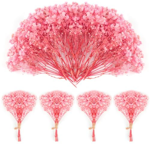 70Pièces Mini Gypsophile Séché 4000+Fleurs Séchées Couleur Rose Naturel Decoration Mariage Fleur Sèche pour Accessoires de Cheveux Mariage Guirlande Carte Vase Cadeau Décoration pour la Maison