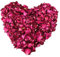FINEVERNEK 1 Litro Petali di Rosa Essiccati Naturali, Rosa Rossa, per Pediluvio, Bagno, Spa, Matrimonio, Boda, Fragranze per La Casa, Accessori Fai da Te