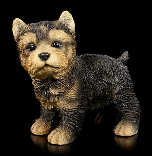 Hunde Figur - Yorkshire Terrier Welpe stehend | Deko-Figur, Deko-Artikel, Hunde-Baby, H 12,5 cm