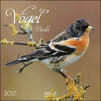 Vögel - Broschur Kalender 2021 - Korsch-Verlag - Kalender mit Platz für Eintragungen - offen 29,8 cm x 59,8 cm
