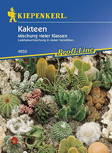 Kakteen, Mischung vieler Klassen, Liebhabermischung in vielen Varietäten, mehrjährige Mischung