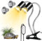 BORDEAG Doppelende Schildkröte Wärmelampe, Reptilien Heizlampe, Terrarium Lampe, mit Timing Controller, für Schildkröte, Eidechse, Spinne, Chlange