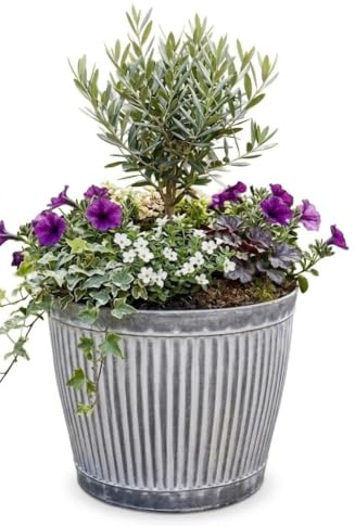 My Square Mile Large Galvanised Metal Garden Planters, Medium 31cm x 27cm | Outdoor Plant Pot, Vintage Ribbed Barrel, Tub Decoration