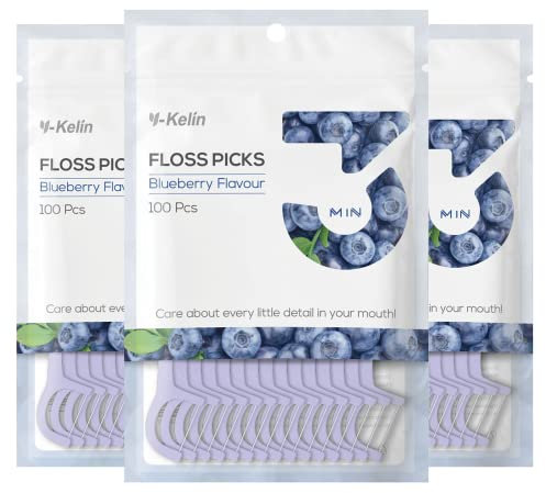 Y-Kelin Hilo dental: 300 palillos de dientes de hilo dental, palillos de dientes, palillos de dientes, púas de hilo dental, limpieza de dientes (arándano, 300 piezas)