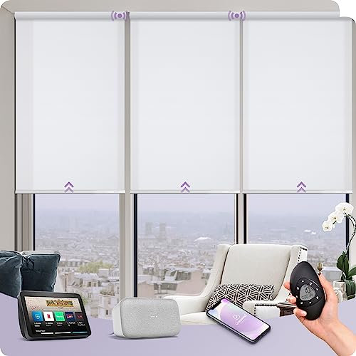 Graywind Customized Smart Semi Sheer Roller Blinds, Rechargeable Electric Light Filtering Blinds for Windows Compatible with Alexa Google, Cordless Motorized Shades with Remote, Pure White