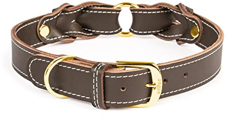 CopcoPet Hundehalsband Heidi 40 – 45 cm x 30mm Braun – Aus weichem Leder mit Ziernaht & Messing Beschlägen – Robust, stilvoll & verstellbar – Für mittelgroße Hunde, Spaziergang & Alltag